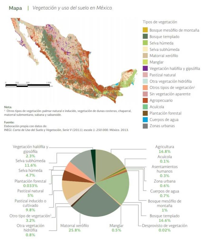 Ecosistemas De M Xico Cu Les Son Tipos Vegetaci N Fauna Y Ejemplos