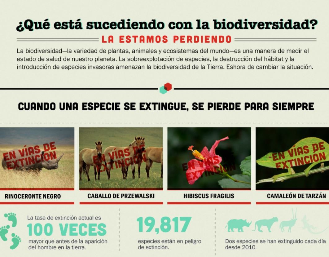 101 Imágenes E Infografías En Ecosistemas Ovacen 8682