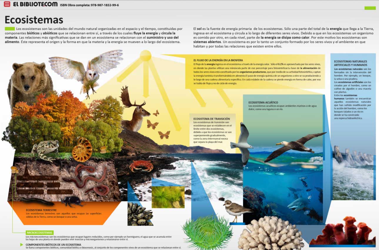 101 Imágenes E Infografías En Ecosistemas Ovacen 2275