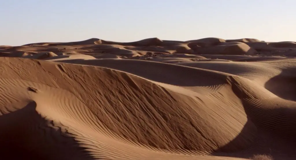 Desierto Clima Flora Fauna Y Caracteristicas Ovacen