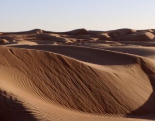 Desierto; Clima, flora, fauna y características