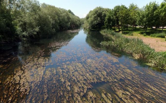 Ecosistemas De Agua Dulce Ovacen