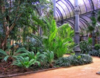 Ecosistemas artificiales o humanizados