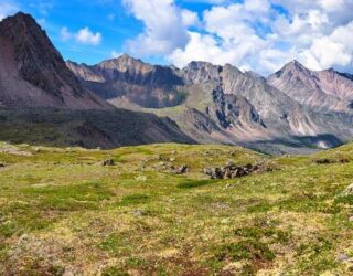 Tundra; Clima, fauna, flora y sus características