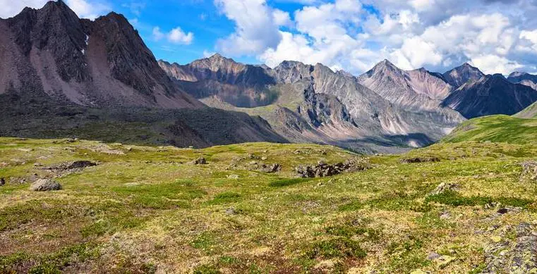 Tundra Clima Fauna Flora Y Sus Caracteristicas Ovacen