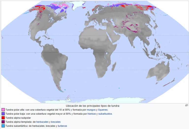 Tundra; Clima, fauna, flora y sus características | OVACEN