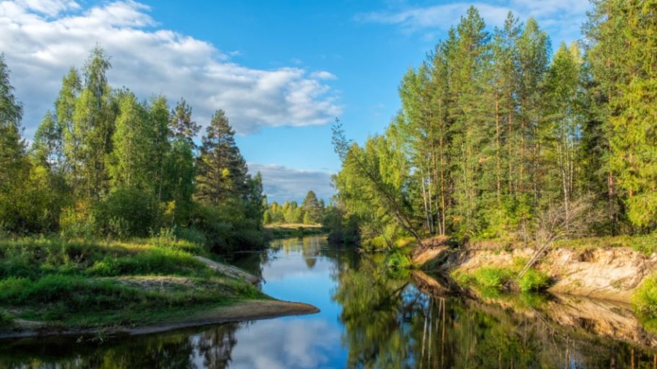 Unduh 8500 Koleksi Gambar Flora Dan Fauna Bioma Tundra Paling Bagus Gratis HD