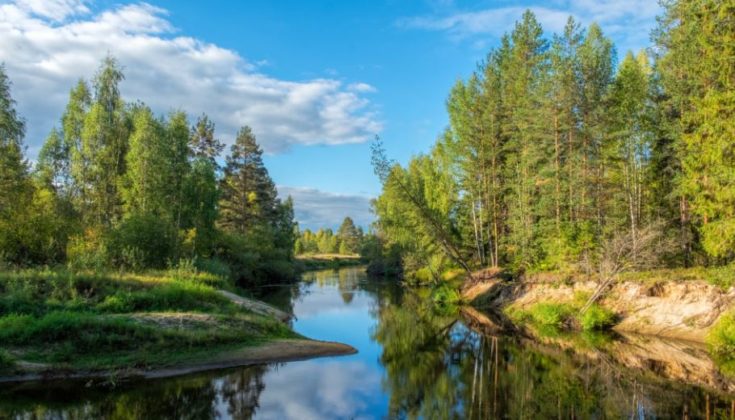 Taiga; Clima, fauna, flora y sus características OVACEN