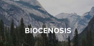 la biocenosis