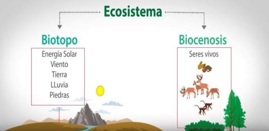 Biocenosis; Qués Es, Tipos, Componentes Y Ejemplos | OVACEN