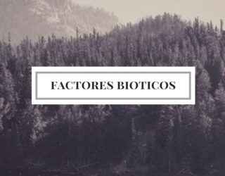 Factores bióticos; Tipos, relaciones, ejemplos y concepto biótico