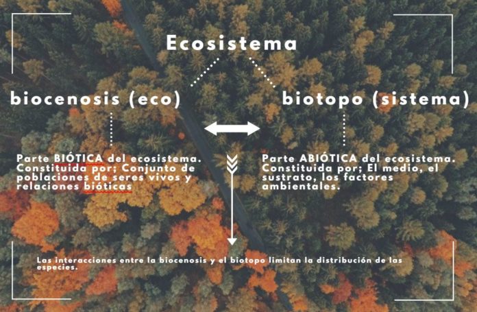 Biocenosis; Qués Es, Tipos, Componentes Y Ejemplos | OVACEN