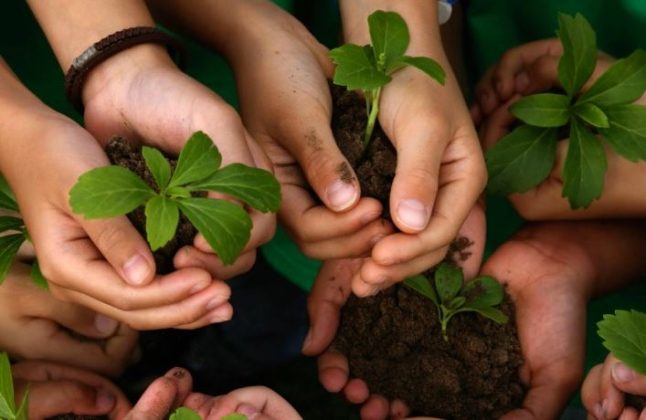 Biodiversidad Qué Es Claves Y Su Importancia En La Tierra Ovacen 3869