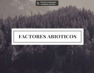 Factores abióticos; Qué son, principales elementos y ejemplos