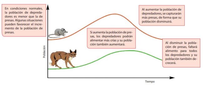 Biocenosis Qués Es Tipos Componentes Y Ejemplos Ovacen 0575