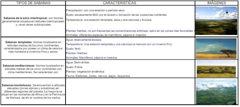 tipos sabanas