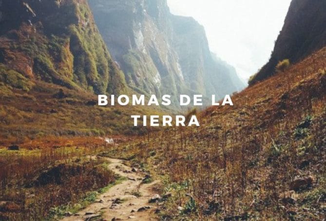 biomas tierra
