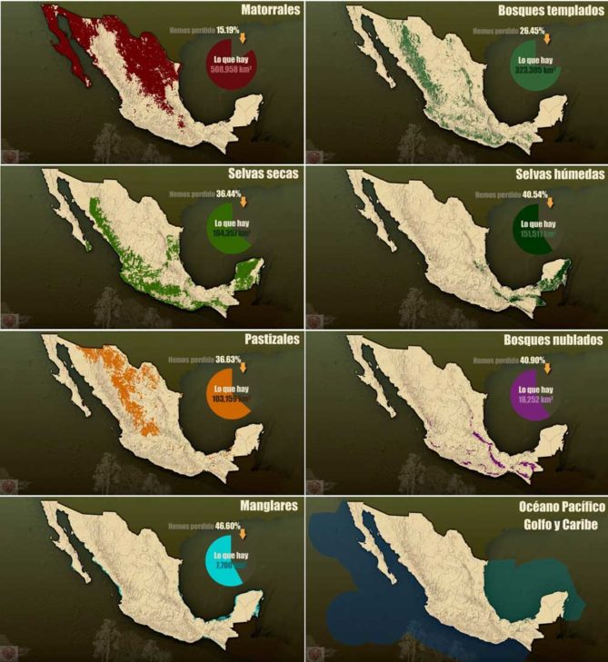 Ecosistemas de México Cuáles son, tipos, vegetación