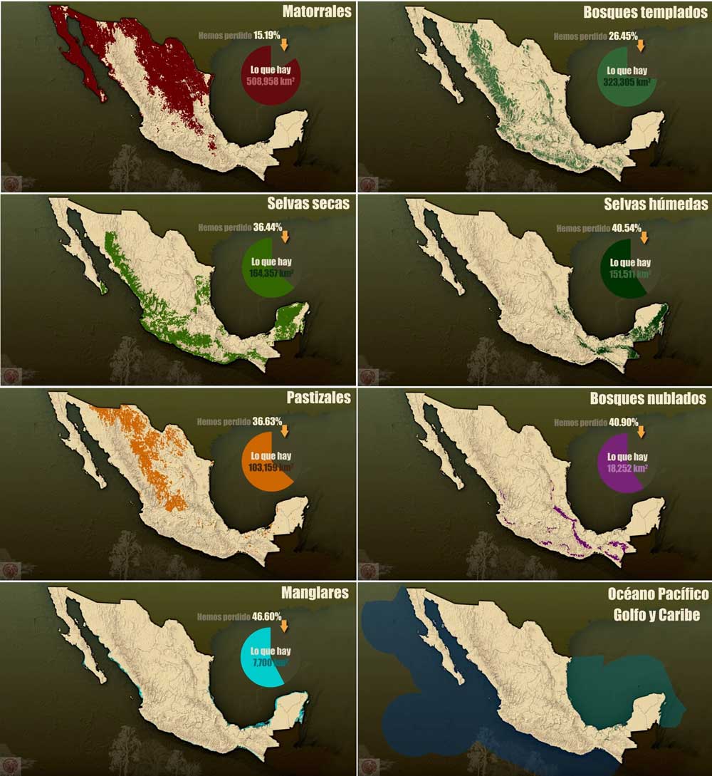 cuantos ecosistemas encontramos en México
