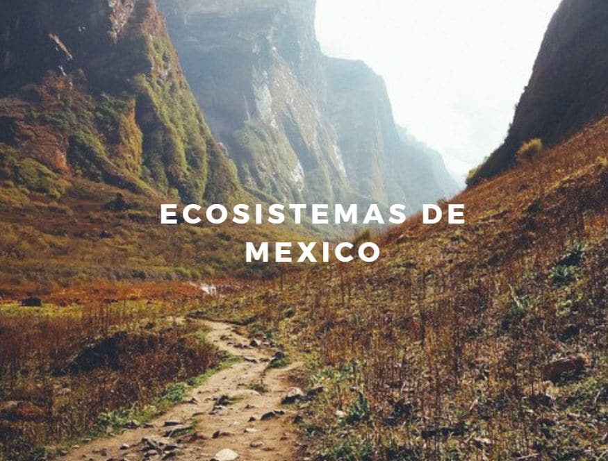 ecosistemas región mexicana