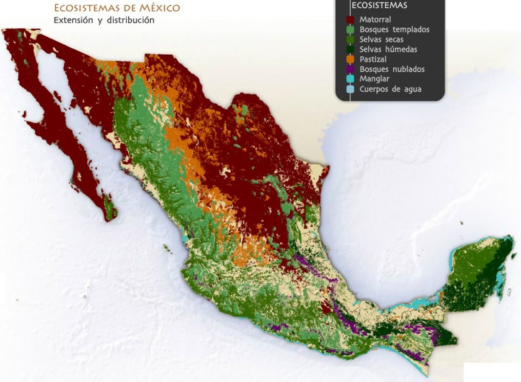 Ecosistemas De México Cuáles Son Tipos Vegetación Fauna Y Ejemplos 0959