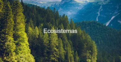 ecosistemas y la biosfera
