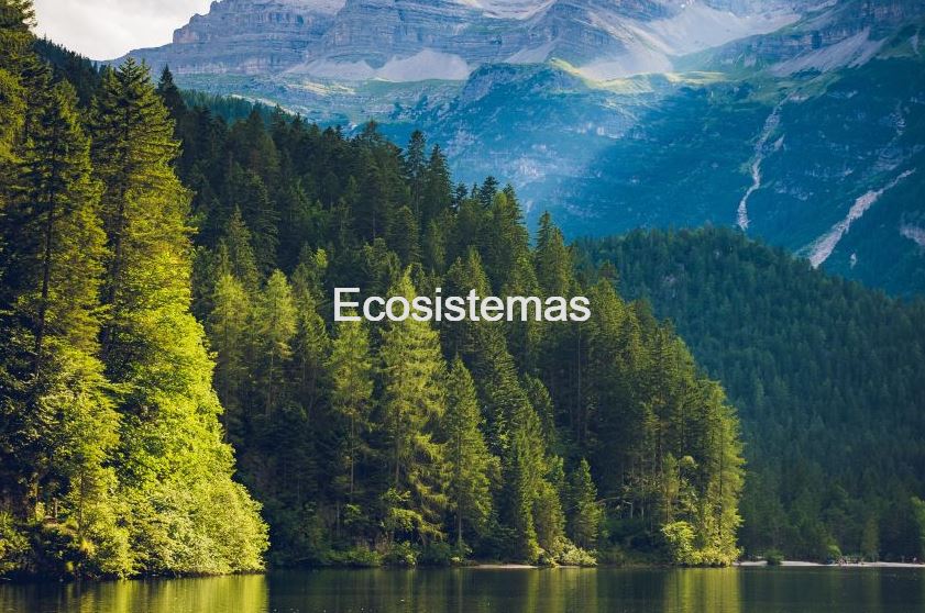 ecosistemas y la biosfera