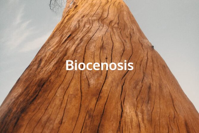 Biocenosis