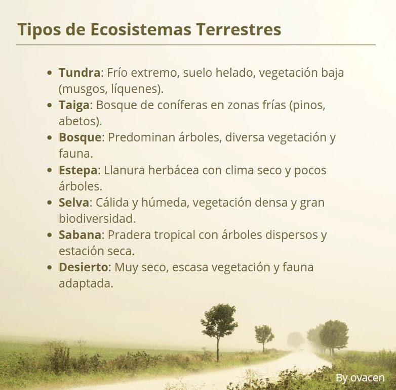 tipos de ecosistemas terrestres en la Tierra